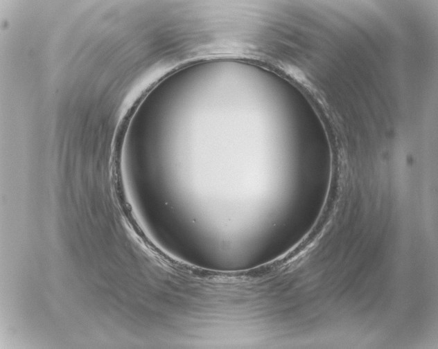 X0000054441469200508191558