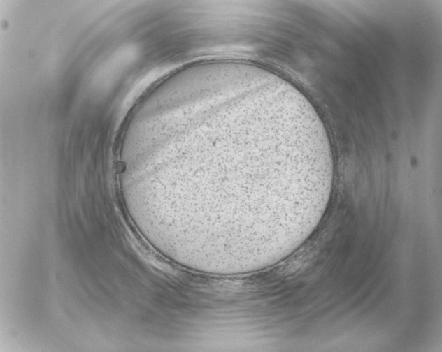 X0000054441470200508191558