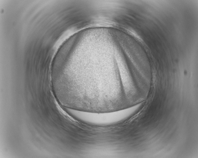 X0000054441471200508191558