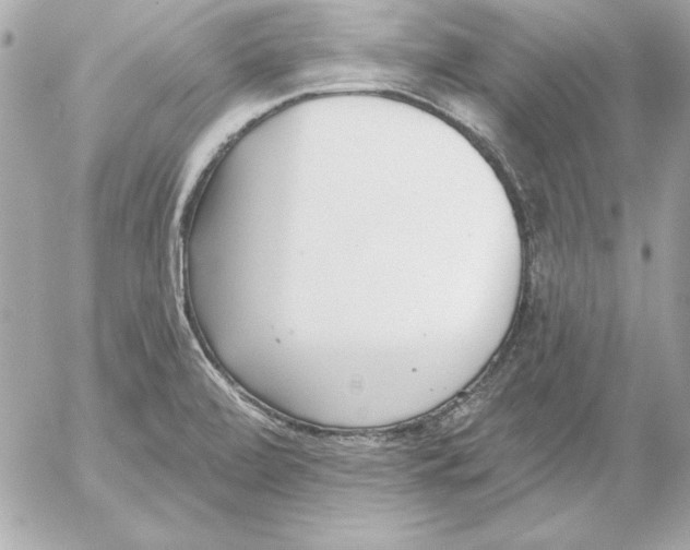 X0000054441472200508191558