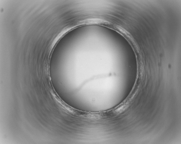 X0000054441473200508191558