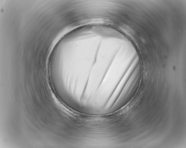 X0000054441475200508191558