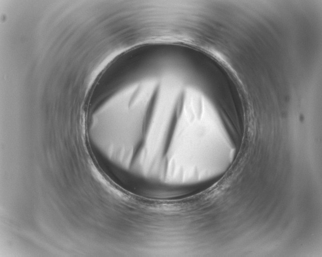 X0000054441476200508191558