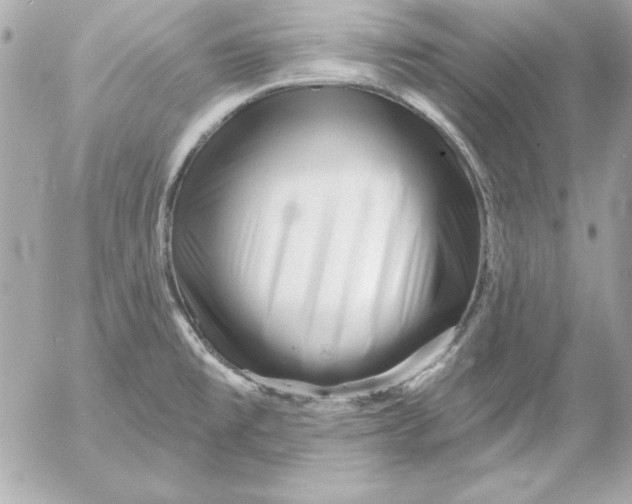 X0000054441477200508191558