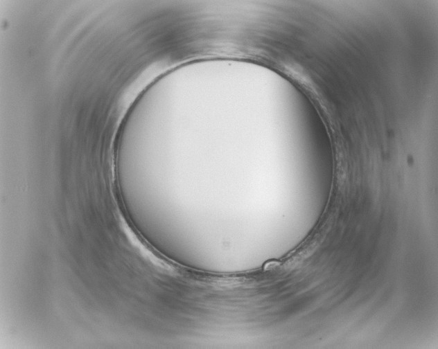 X0000054441479200508191558