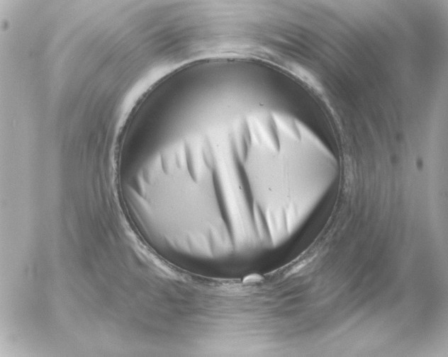 X0000054441480200508191558