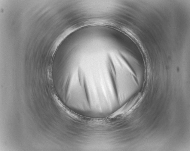 X0000054441481200508191558