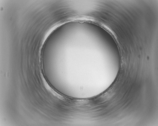 X0000054441483200508191558