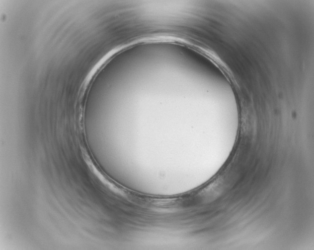 X0000054441484200508191558