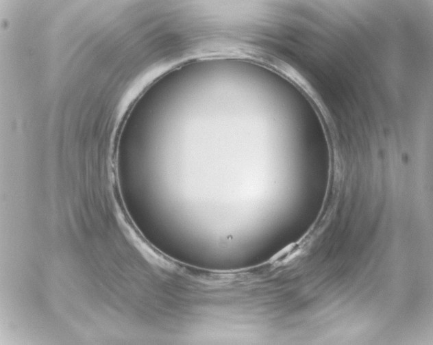 X0000054441485200508191558