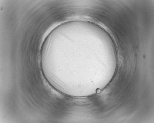 X0000054441486200508191558