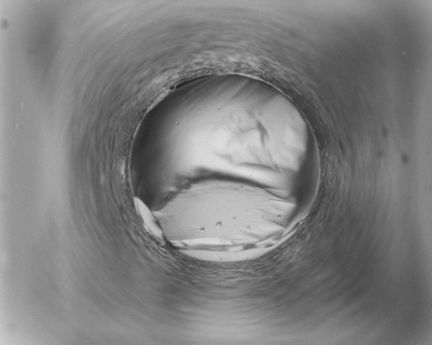 X0000054441489200508191557