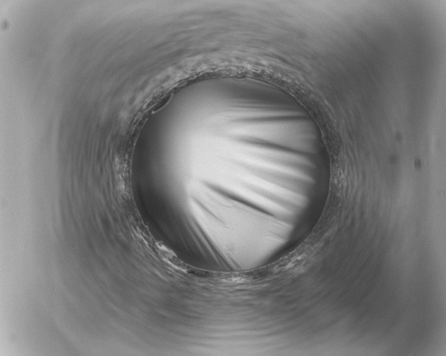 X0000054441490200508191557