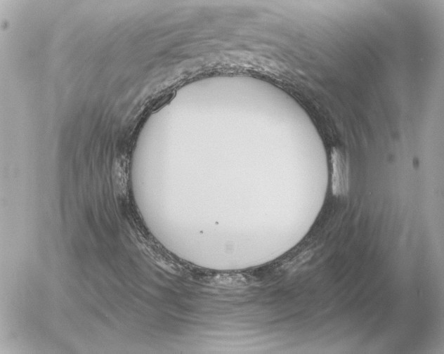 X0000054441491200508191557