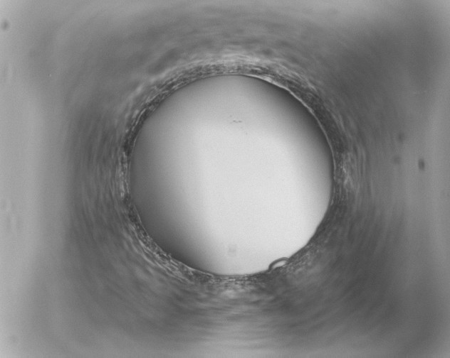 X0000054441493200508191557