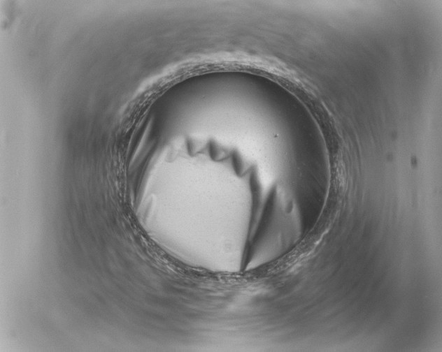 X0000054441494200508191557