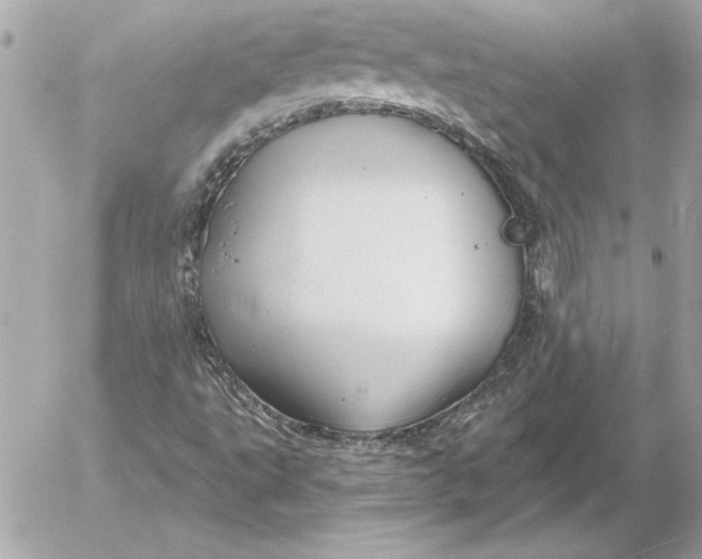 X0000054441495200508191557