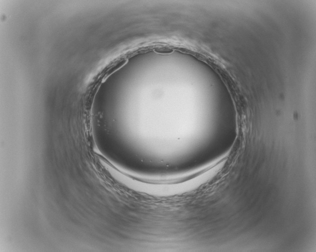 X0000054441496200508191557