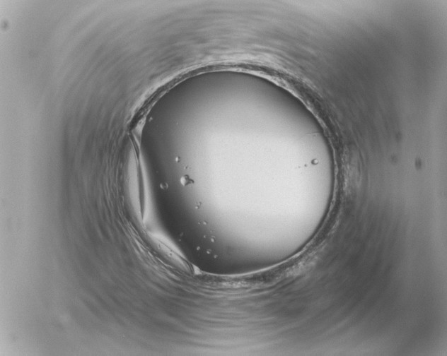 X0000054441497200508191558