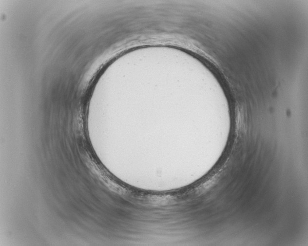 X0000054441498200508191558