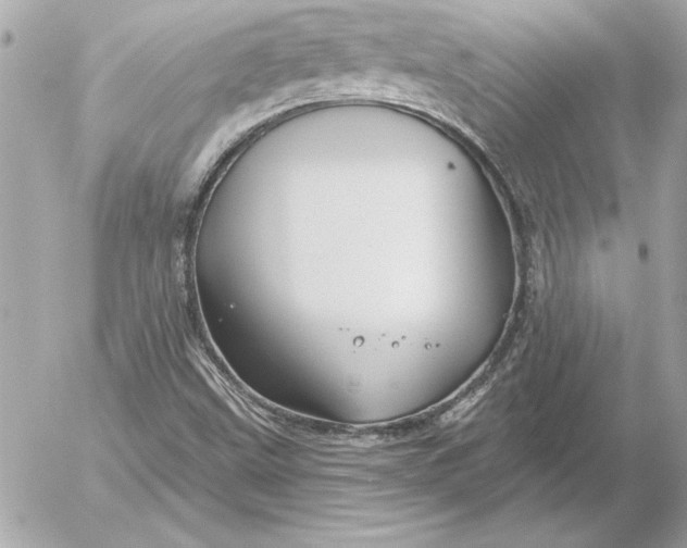 X0000054441499200508191558