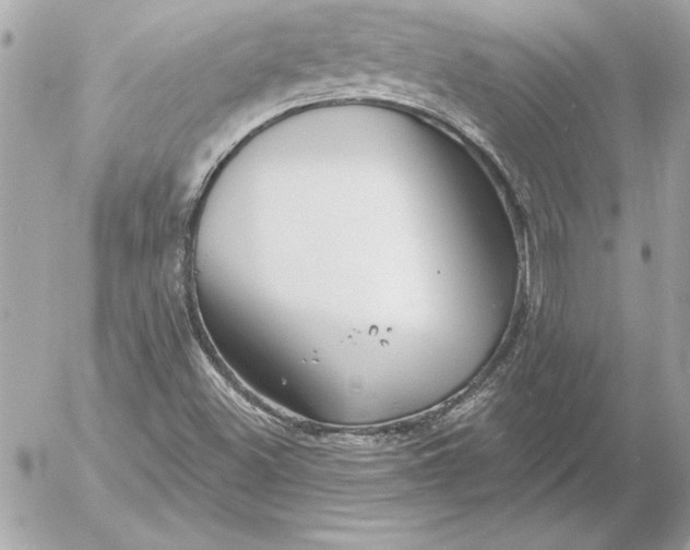 X0000054441500200508191558