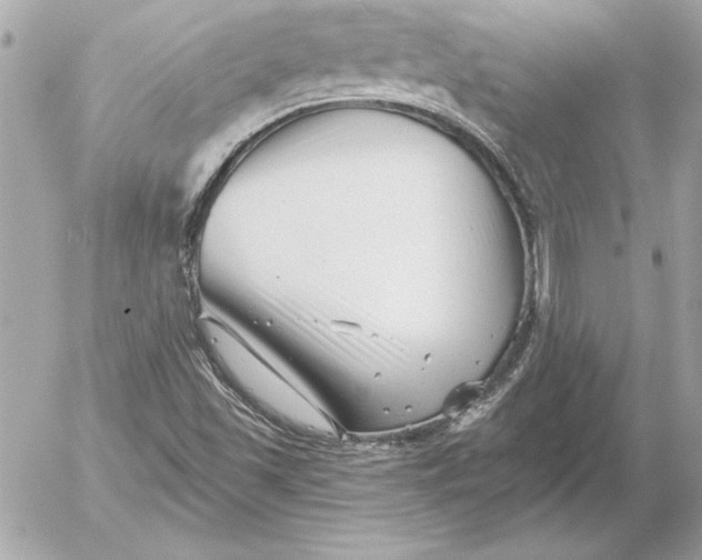 X0000054441501200508191558