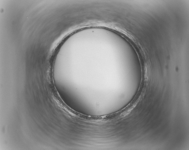 X0000054441502200508191558