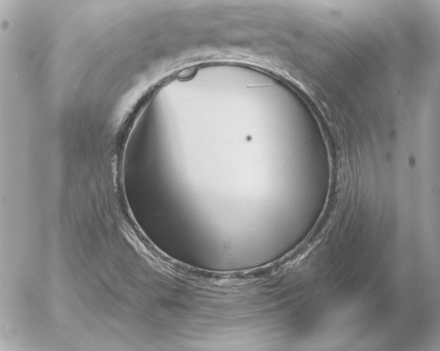 X0000054441503200508191558