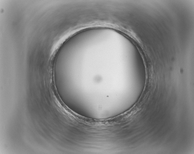 X0000054441504200508191558