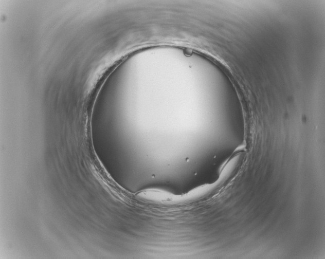 X0000054441507200508191558