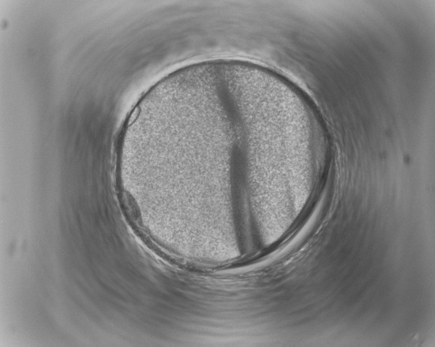 X0000054441508200508191558