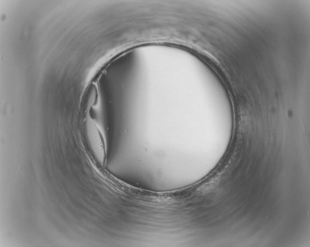 X0000054441509200508191558