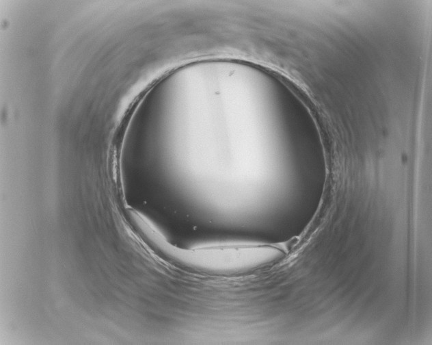 X0000054441510200508191558