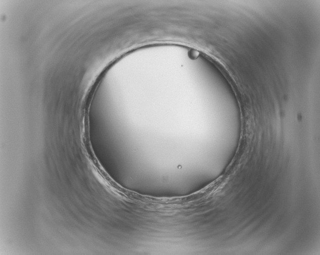 X0000054441511200508191558