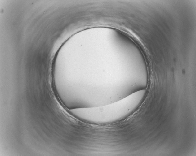 X0000054441512200508191558