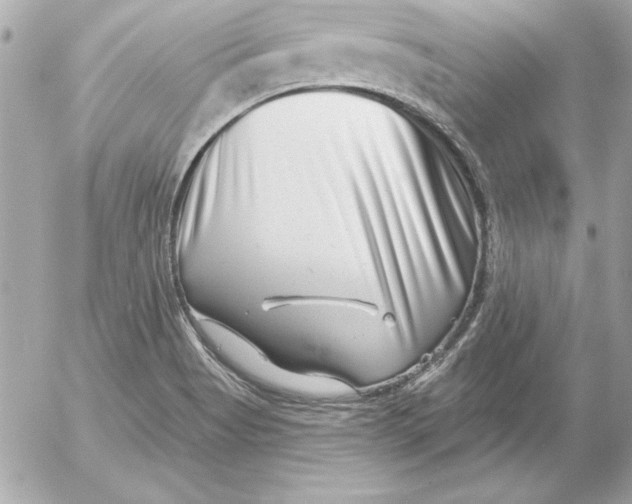 X0000054441513200508191558