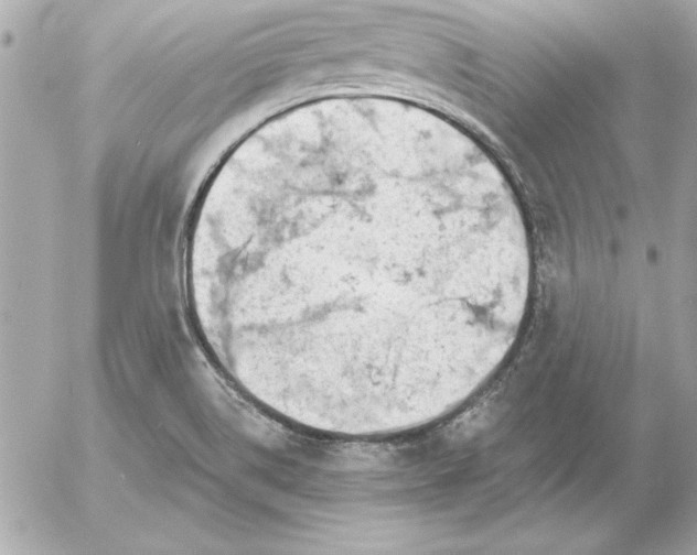 X0000054441514200508191558