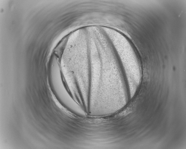 X0000054441515200508191558