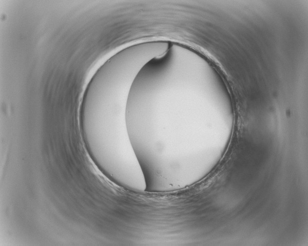 X0000054441516200508191558