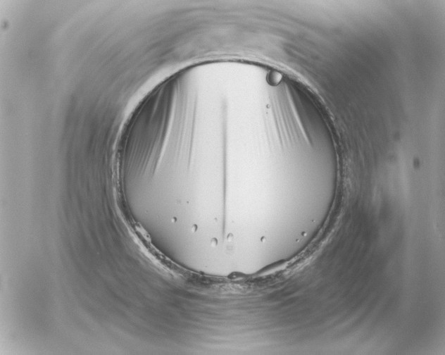 X0000054441517200508191558