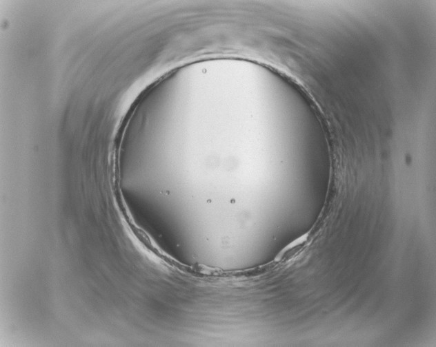 X0000054441519200508191558