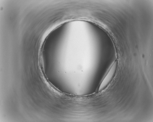 X0000054441520200508191558