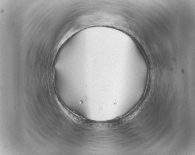 X0000054441521200508191558