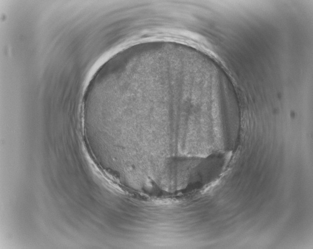 X0000054441522200508191558