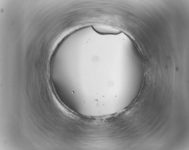 X0000054441523200508191558