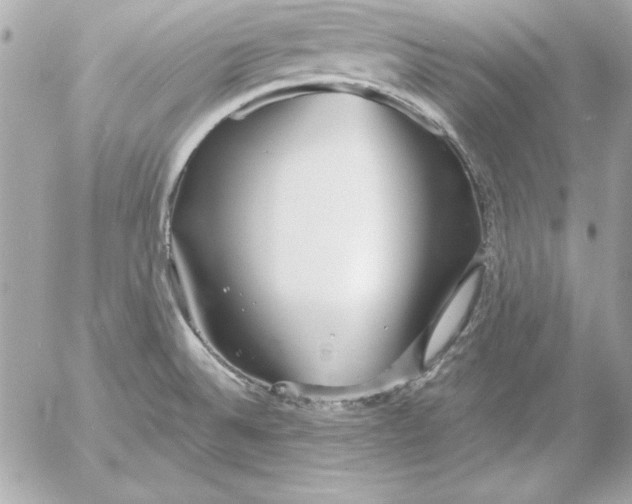 X0000054441524200508191558