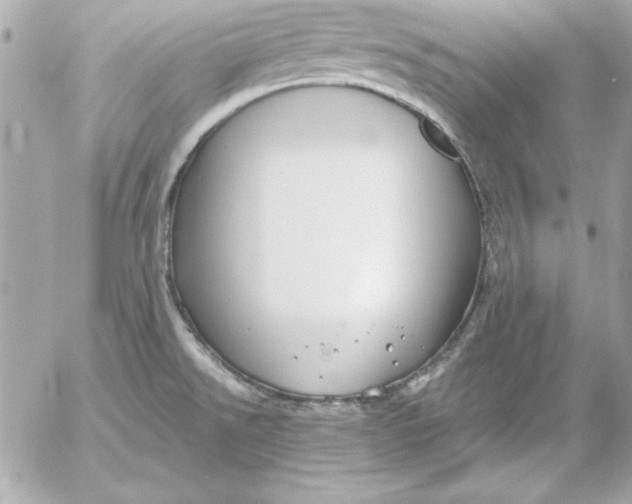 X0000054441526200508191558