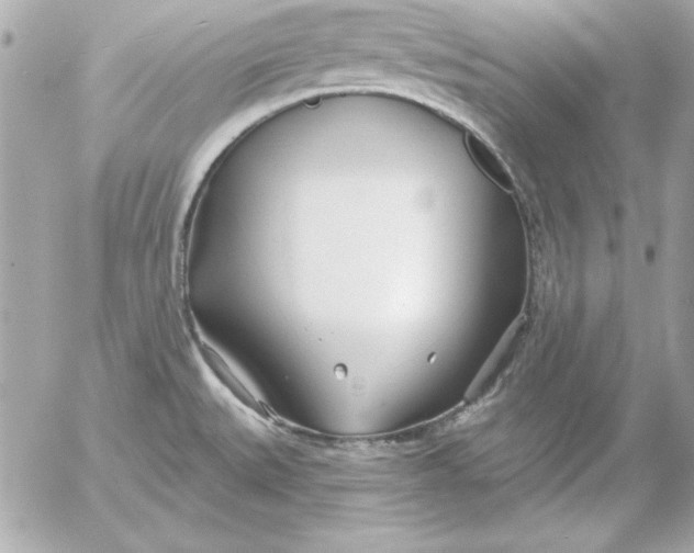 X0000054441527200508191558