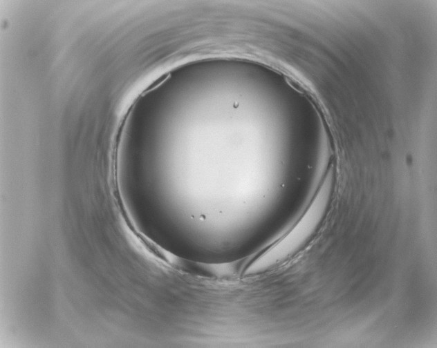 X0000054441528200508191558